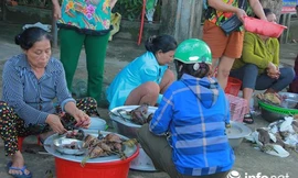 Chim trời nằm la liệt dọc đường, tràn lan ở chợ và trên... bàn nhậu