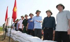 Phó Thủ tướng Trịnh Đình Dũng nghe báo cáo của Bí thư Tỉnh ủy Nguyễn Văn Đọc về phương án bảo vệ, gia cố tuyến đê Hà Nam (TX. Quảng Yên). Ảnh: BQN