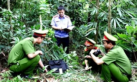 Công an đang điều tra vụ thi thể phụ nữ lõa thể trong thùng nước.