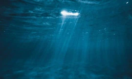 Những động vật đầu tiên trên Trái Đất dưới đáy biển