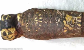 Sự thật về xác ướp ở Ai Câp có hình dạng kỳ lạ