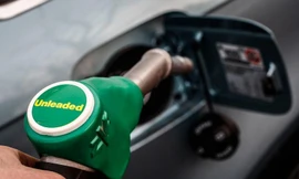 Hơn 600 nghìn chiếc ôtô trên thế giới không phù hợp sử dụng xăng E10.