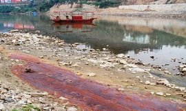 Nước lạ trên sông Hồng