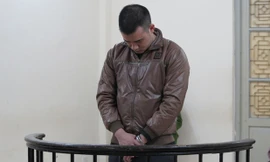 Hoàng Việt trước vành móng ngựa.