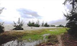 Khu đất 'vàng' ven biển Cảnh Dương được cấp "nhầm" cho cán bộ huyện Phú Lộc