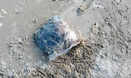 Nhiều túi đựng thịt thối dạt vào bờ biển Thừa Thiên Huế