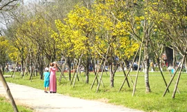 "Con đường Hoàng mai" trước Đại nội thuộc Kinh thành Huế.