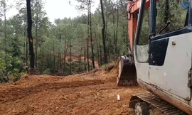 Xe cộ án binh bất động, hoạt động khai thác rừng GPMB làm cao tốc do Cty Lâm nghiệp Tiền Phong tổ chức đấu giá theo phân công của UBND tỉnh TT-Huế bị ngưng trệ.