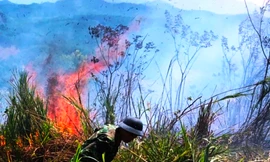 Lại xảy ra cháy rừng tại tỉnh TT-Huế