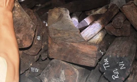 Tang vật gỗ lậu vận chuyển từ Lao Bảo về bị công an Huế bắt giữ