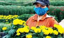 Người dân Huế có một năm bội thu hoa