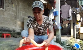 Con lươn này to lớn như cá chình, với màu da trắng rất kỳ lạ và hiếm gặp. Ảnh: Tuấn Đình