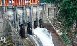 Thủy điện Thượng Nhật là tái vi phạm tích nước, dù chưa bảo đảm các điều kiện về sử dụng tài nguyên nước.