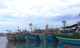 Hơn 2.000 tàu thuyền tại TT-Huế nhận lệnh cấm ra khơi đánh bắt cá kể từ chiều 29/10 để phòng tránh mưa bão, thiên tai