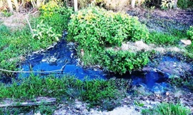 Nhà máy tinh bột sắn TT-Huế (xã Phong An, huyện Phong Điền, tỉnh TT-Huế) đã có hành vi vi phạm các quy định về xả nước thải 