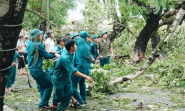 Tuổi trẻ TT-Huế tích cực "giải cứu" đường phố tắc nghẽn, giải phóng hàng nghìn cây xanh đổ ngã sau bão.
