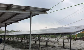 Một vụ cháy rừng trồng tại xã Quảng Lợi (huyện Quảng Điền, TT-Huế). Đây là địa bàn có sự tồn tại của các công trình điện mặt trời mái nhà trong trang trại nông nghiệp.