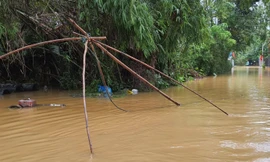 Mưa ngập đường, ngập nhà, ngập luôn phương tiện kiếm cơm của người dân.