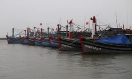 Tỉnh TT-Huế đã kêu gọi 1.915 phương tiện/10.533 lao động vào tránh trú áp thấp an toàn.