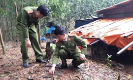 Lực lượng chức năng kiểm tra "khu vườn bom đạn" tại xã Bình Điền, thị xã Hương Trà, TT-Huế