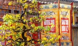 "Hương xưa bánh Tết" chứa dựng nhiều điều thú vị của Tết xưa trong Cung đình Huế. (Ảnh: TTBTDTCĐ Huế)