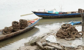 Những vỏ lốp bám đầy con hàu vớt lên từ đầm Lập An trông ghê người.