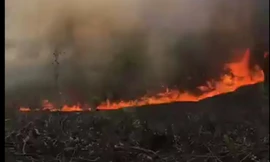 Hiện trường cháy rừng huyện Phong Điền chiều tối 18/5