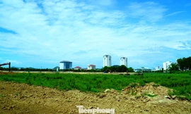 Theo Ban quản lý dự án, tiến độ thi công mặt bằng quảng trường, công viên cây xanh "chậm trễ nghiêm trọng", thời gian chậm trễ phải tính bằng tháng tương ứng hơn 100 ngày.