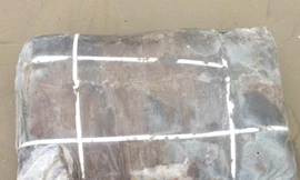 Bí ẩn 5 tạ thịt thối dạt vào bờ biển Thừa Thiên Huế