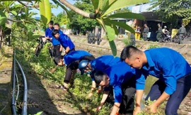 ĐVTN Hương Thủy ra quân làm vệ sinh, bảo đảm môi trường xanh, sạch, sáng hưởng ứng chiến dịch “Thanh niên tình nguyện hè năm 2020”.