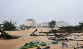 Đại hội đại biểu Đảng bộ tỉnh TT-Huế lần thứ XVI tạm hoãn để tập trung khắc phục hậu quả lũ lụt.