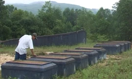 Quái gở chuyện 'trấn yểm' mồ mả bằng quần lót sơn đỏ ở Huế