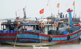 Hơn 170 phương tiện đánh bắt thủy, hải sản trên biển, với trên 1.000 lao động nghề cá thuộc địa bàn TT-Huế đã trở về nơi trú tránh bão an toàn.