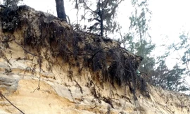 Nạn xâm thực bờ biển diễn ra dữ dội và nguy hiểm tại xã Phú Thuận, huyện Phú Vang, tỉnh TT-Huế