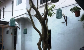 UBND thành phố Huế đã chỉ đạo Trung tâm Phát triển Quỹ đất thành phố cùng những cá nhân liên quan phải nghiêm túc chấn chỉnh, khắc phục lại hiện trạng biệt thự cổ bị xâm hại