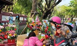 Dịp 8/3 năm nay, số người tìm mua hoa tươi tại các hàng hoa lưu động ở Huế không nhiều. Trong khi, số gian hàng hoa lưu động dọc các tuyến phố tại Huế cũng giảm mạnh.