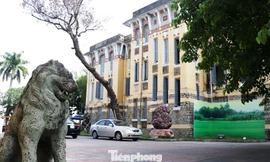 Nhiều chuyện "lạ" về bố trí nhân sự lãnh đạo, khai thác cơ sở vật chất… tại Trung tâm VH-TT& Thể thao TP Huế.