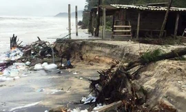 Tình trạng sạt lở bờ biển do sóng lớn, triều cường xâm thực ngày càng diễn ra nghiêm trọng trên chiều dài hơn 30km 