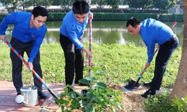 Đại diện cán bộ Tỉnh Đoàn TT-Huế, Ban Thường vụ Trung ương Đoàn hưởng ứng ngày Chủ Nhật xanh và triển khai tuyến đường hoa thanh niên tại Huế dáng 24/11