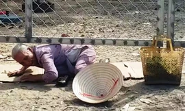 Người dân bò vào chợ Tứ Hạ, Hương Trà, tỉnh Thừa Thiên Huế