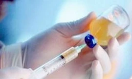 Thi hành án tử hình bằng tiêm thuốc độc từ tháng 11