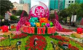 Đường hoa Tết Kỷ Hợi khai mạc vào tối nay 2/2.
