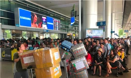 Lượng hành khách qua sân bay Tân Sơn Nhất dịp Tết Nguyên đán 2019 tăng cao hơn các năm trước.