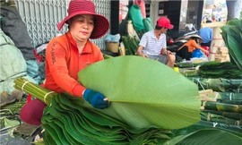 Chợ lá dong 'độc nhất' Sài Gòn nhộn nhịp ngày giáp Tết