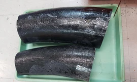 Hai chiếc ngà voi nặng gần 10kg nhập lậu vào Tân Sơn Nhất.