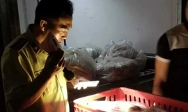 Lực lượng chức năng kiểm tra lô hàng.