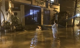 Người Sài Gòn bức xúc vì tốn 250 tỉ nâng đường nhưng ngập vẫn hoàn ngập