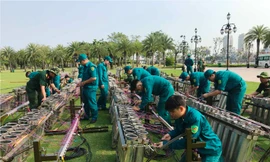 Tận thấy hàng nghìn quả pháo hoa chờ khai hoả đón giao thừa