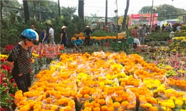 Chợ hoa Tết lớn nhất Sài Gòn nhộn nhịp ngày cuối năm