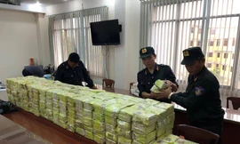 Trong vòng 9 tháng đầu năm, Công an TPHCM đã thu giữ hơn 1,6 tấn ma tuý.